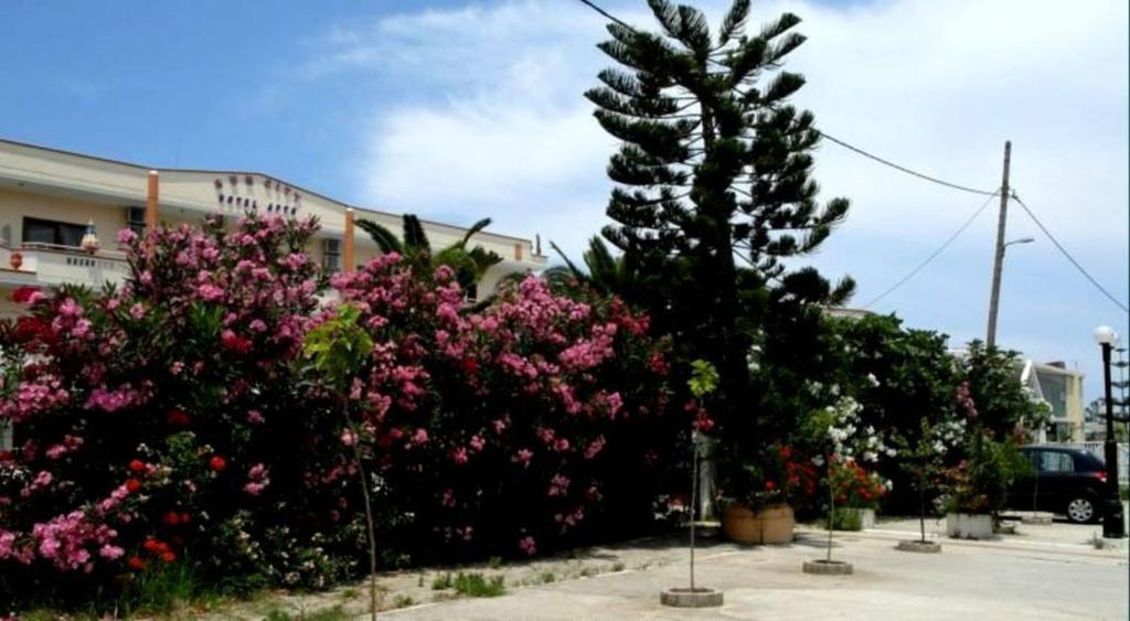קאטו דרטסו Sun City מראה חיצוני תמונה