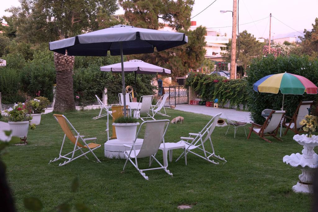 קאטו דרטסו Sun City מראה חיצוני תמונה